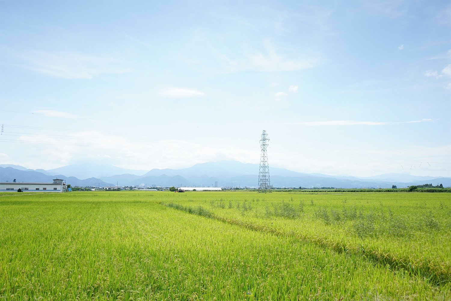 田園風景